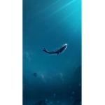 Ocean_wavess:))