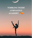 Tumbling Tigers gymnastics academy