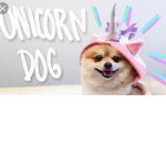 Puppies-and- unicorns RULE