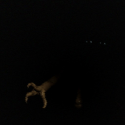 Visiosubrideophobia - Remastered