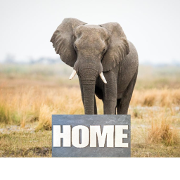 our  home