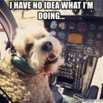 Doggy Airforce