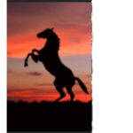 Horse Girl123