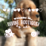 Divine Boutique!