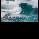 SURVIVE THE MASSIVE WAVE [1% HAVE SURVIVED!]