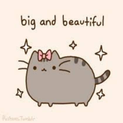 Pusheen Cat Roblox decal