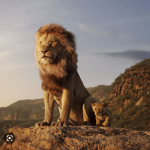 The lion king!!