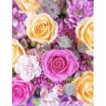 You are all flowers