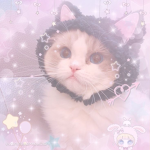 ySnowly