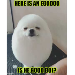 My EggDog Clan UnU