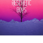 Aesthetic Boys Fan Club