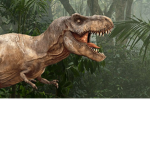 the DINO helpers