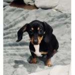 My little Luna