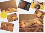 Gudetama group chat!