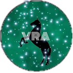 VR Academy
