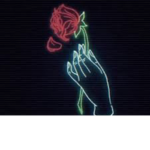 Broken r0ses