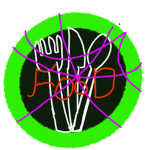 Food ###############