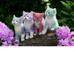 Pastel Kittiez