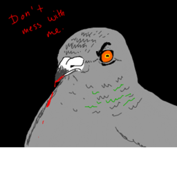 Pigeon 2