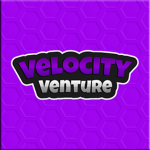 Velocity Venture