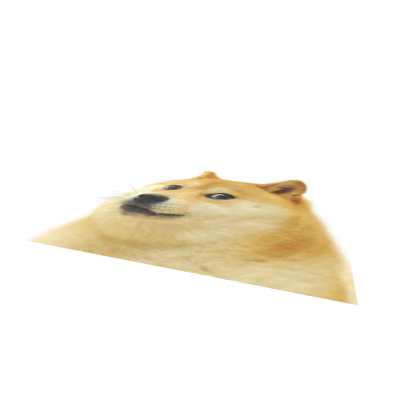 Doge Spawn Point