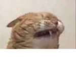 memecat