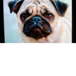 Puggle!!!!!!