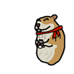 Hot Chocolate Chomik