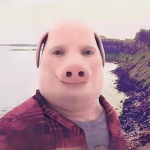 The John Pork Fan Group