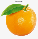 Team orange development