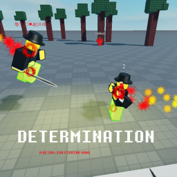 DETERMINATION