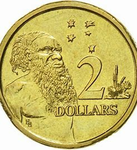coin cult