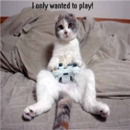 Lol Cat (Funny, Kinda) *-*Fav before take*-* Roblox decal