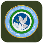 [CS] Cascadian Federal Air Force