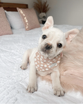 Puppy rescue