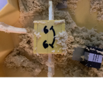 Bee Homys