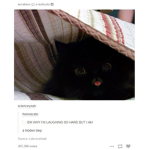 reboux