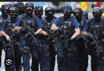 Swat team/riot police