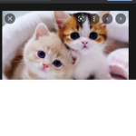 Cats are cute because they are soft