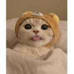 GETURTISUEZZZZZ