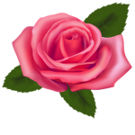The Rose Treasury