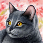 Warrior Cats Fan Group! Made By: Bri11PlaysRoblox