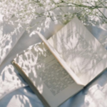 Aesthetic Book
