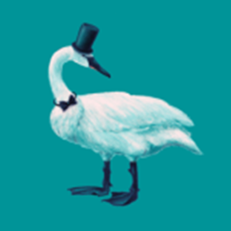 Order of The Swans Hangout