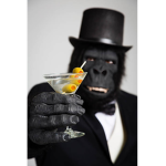 Monkey Business, incorporated