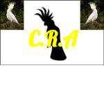 C.R.A. (cockatoo rebel army)