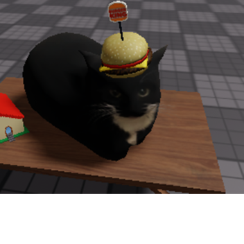 Immersive Experience