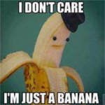 Huge banana fan group