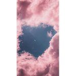 rose_s <3