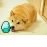Doge's Clans